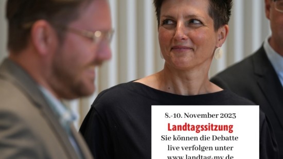 landtag 11/23